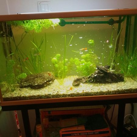 Duplex Lujo Leioaアパートメント エクステリア 写真